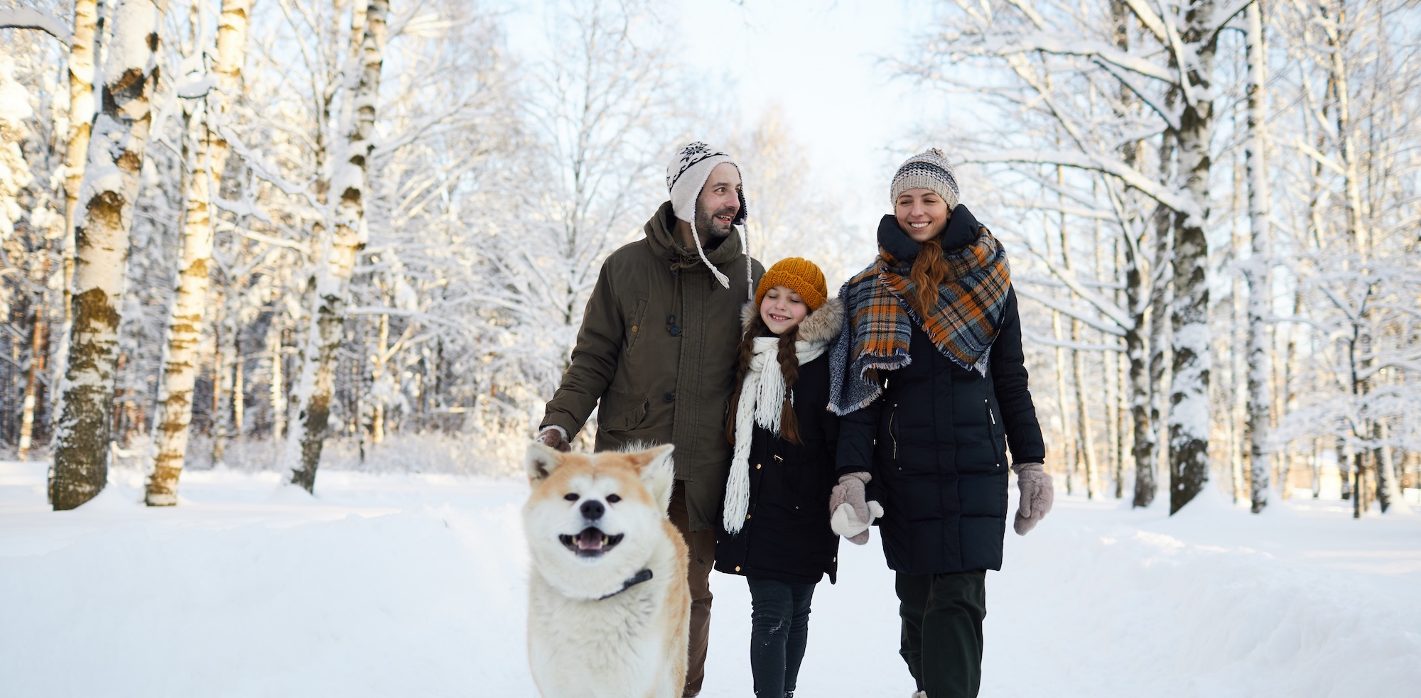 How to Stay Active and Healthy Over the Holidays
