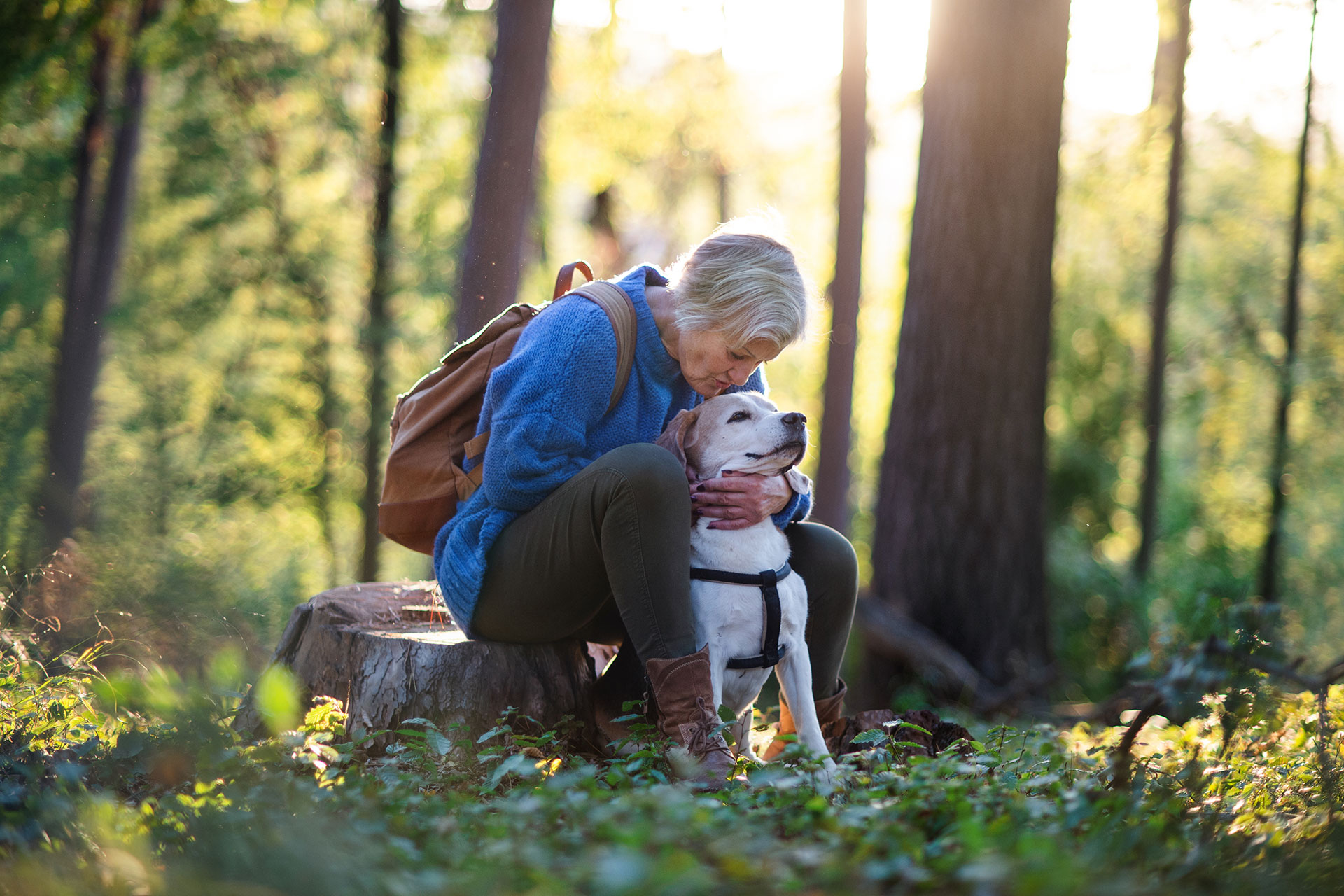 The Surprising Health Benefits of Owning a Pet