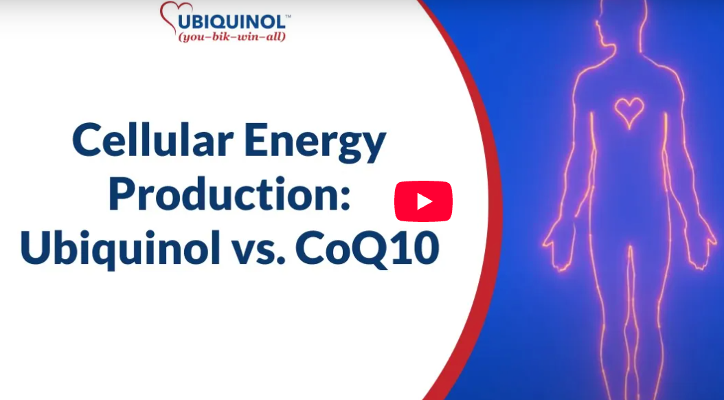 Cellular Energy Production: Ubiquinol vs. Conventional CoQ10