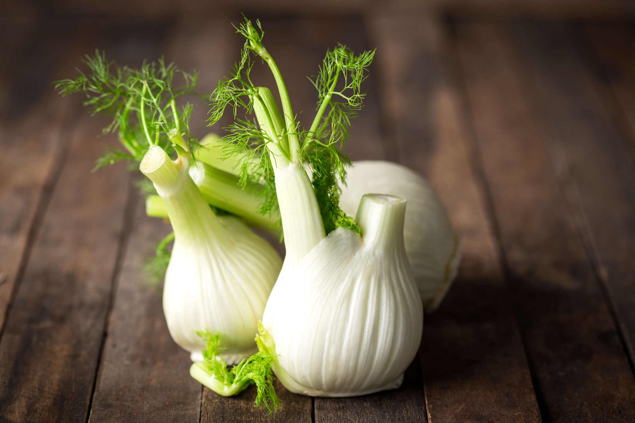 Veggie of the Month: Fennel – A Flavorful and Healthy Choice