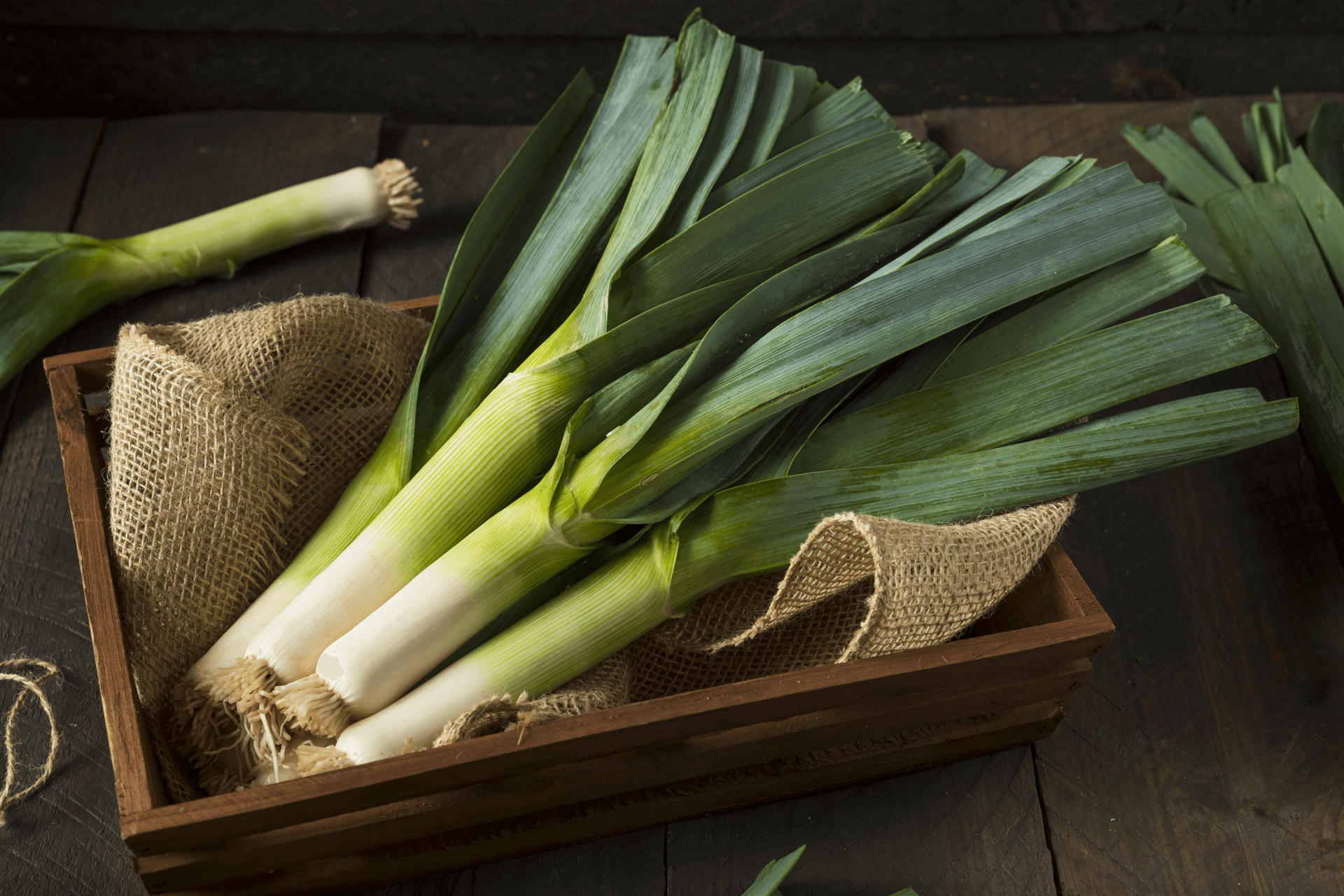 Veggie of the Month: Leek – A Healthy, Flavorful Choice