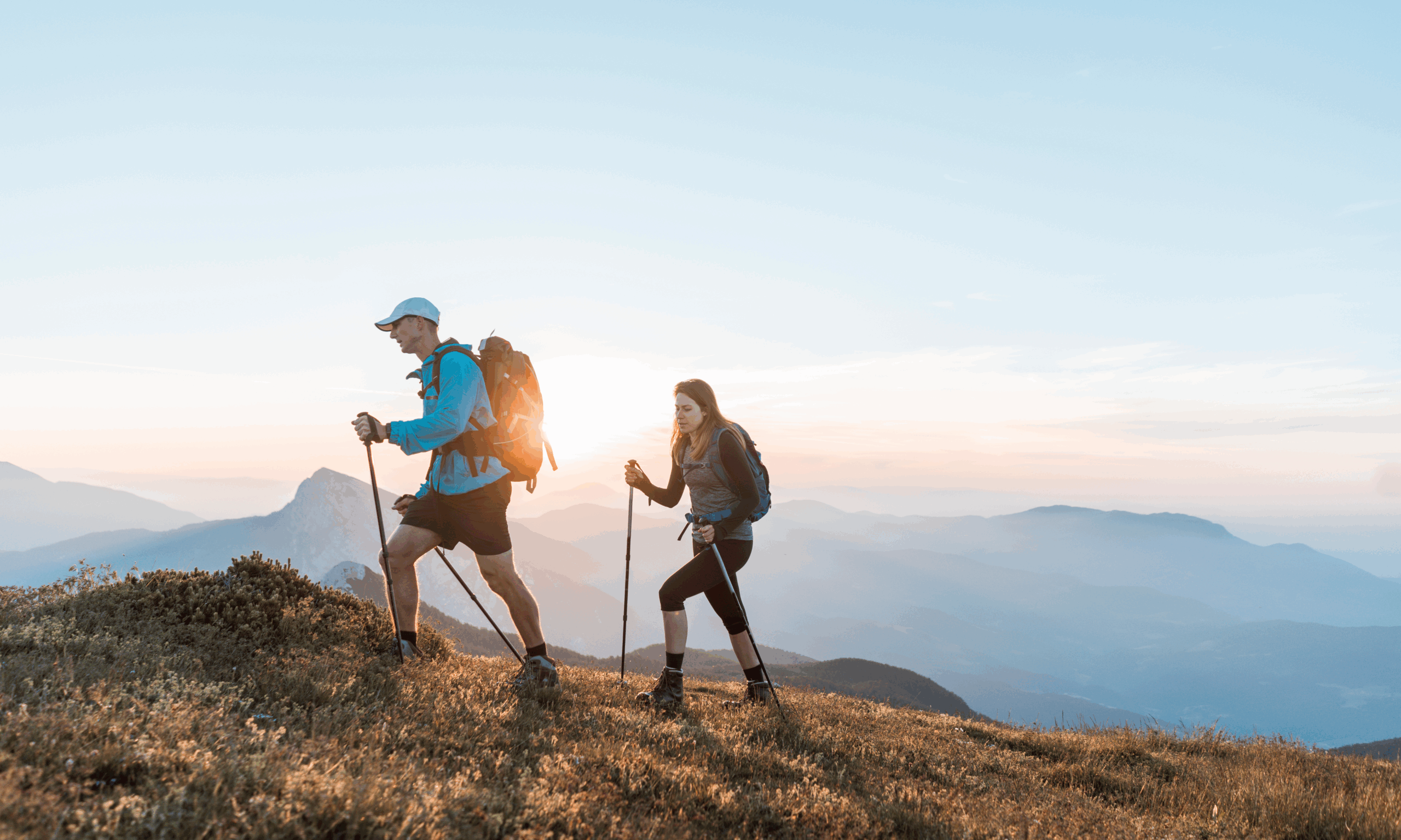 Mitochondria Explained: Definitions to Know About the CEO of the Cell