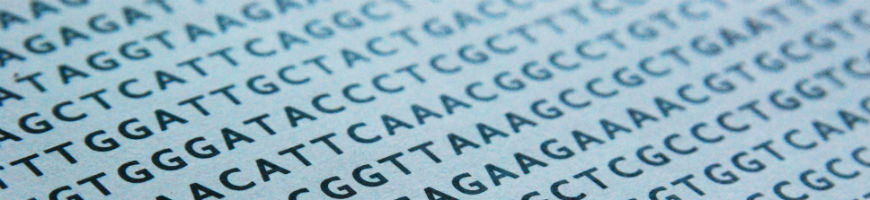 How Your Genetics Affect CoQ10 and Ubiquinol Effectiveness