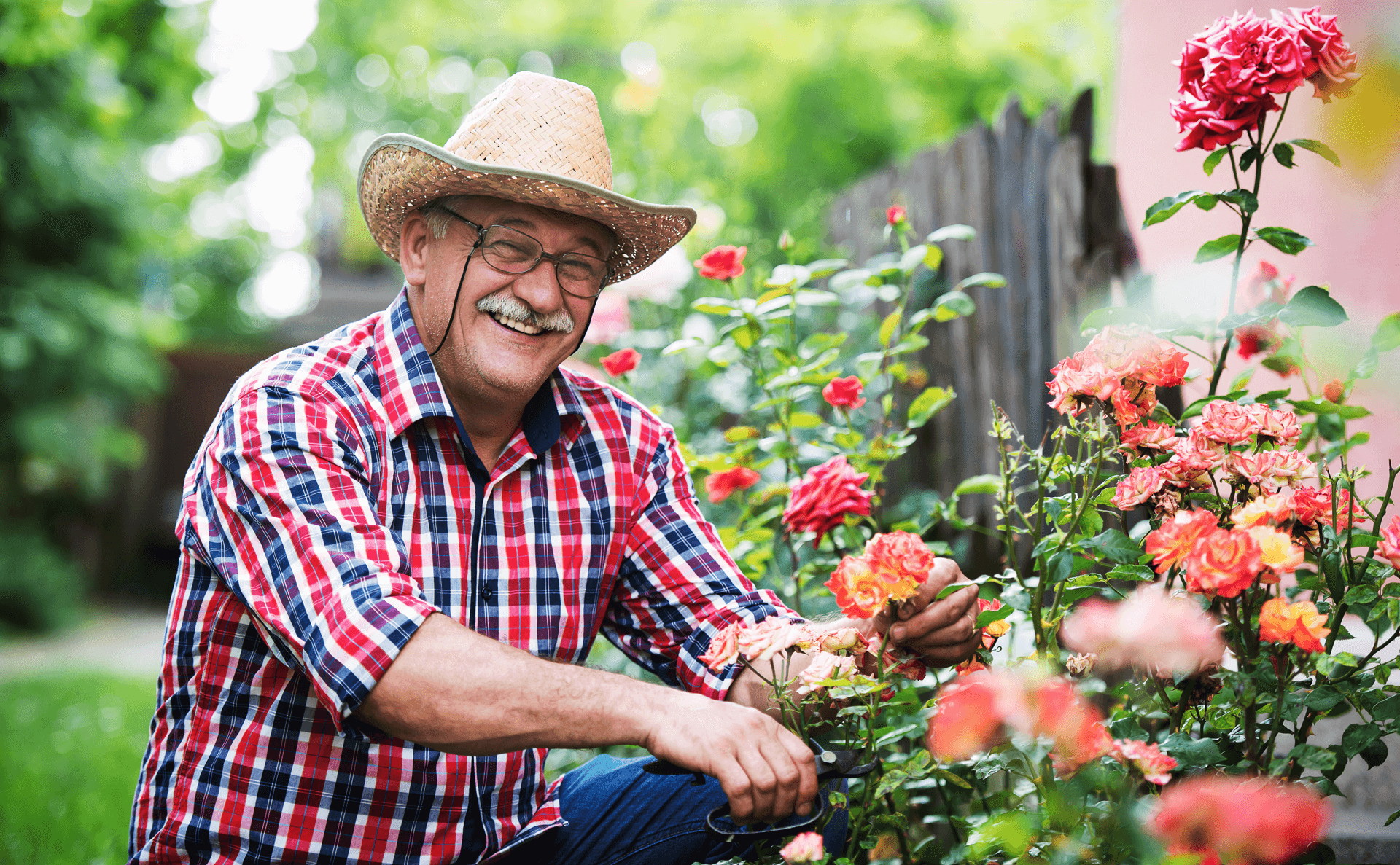 What Role Does Ubiquinol Play In My Body And Overall Health?