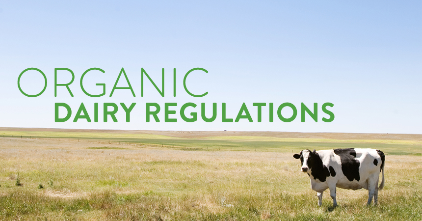 Organic Dairy Regulations: What Makes a Cow "Organic?"