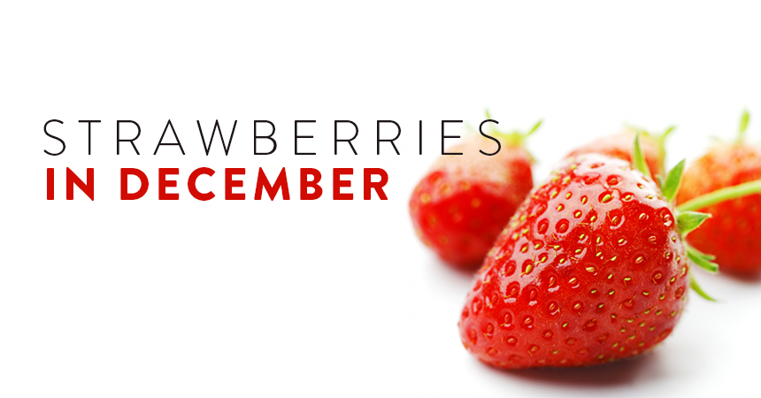 Strawberries in December: A Look at Preservation and Innovation
