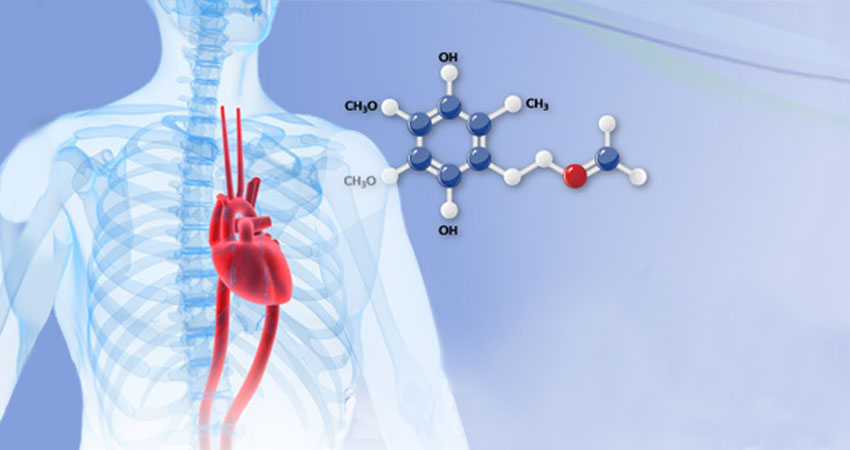 How Ubiquinol Affects Our Biological Systems