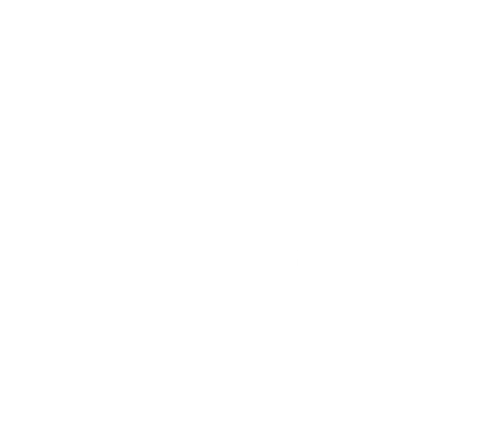 Kaneka Seal Logo